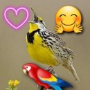 코아루대박공인중개사사무소 이미지