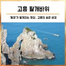 내촌경로당 | 고흥 도화면 구암리 동쪽 해식절벽 끝에 있는 활개바위를 찾아서..(내촌마을/더득금골/대한민국 숨은비경)