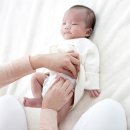 닥터맘(성북/강북/도봉/노원) 이미지