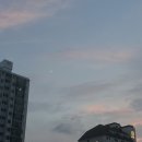 연화곰장어집 | 기장 여행 1박 2일! 해녀촌 노씨아지매, 서가산곰장어, 일광바다횟집, 일광해수욕장 파라솔 고릴라