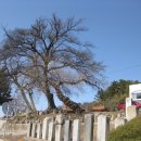 만경읍사무소 이미지