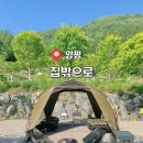 용문농협하나로마트(단월점) | 양평 애견동반 가능한 집 밖으로 캠핑장 C1 사이트