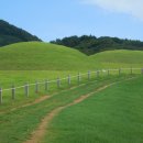 연산동고분군 이미지