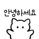비앤엔 이미지