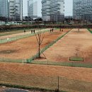 정촌 파크골프장 이미지