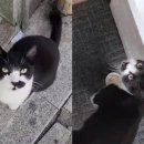 옛날세상 이미지