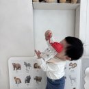 은석어린이집 | [육아/서포터즈] 누비 정글 유아 물병 솔직 후기🦁