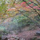 우덕초등학교 이미지