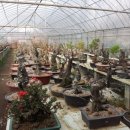 소사농원 이미지