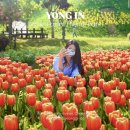 용인농촌테마파크, 커플 데이트부터 아이와 체험까지 서울근교 가볼만한 곳