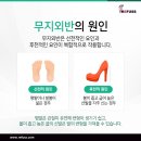 레푸스 두류점 이미지