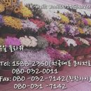부평우일 이미지