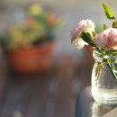 복명초등학교 이미지