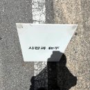 사랑과화평 | 대전 중리동 사랑과화평 후기｜복합터미널 근처 분위기 좋은 대전 감성카페 추천