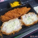 24시띵동펫택시 | 고양이 이물질(비닐) 삼킴 / 구토유발 주사 / 변으로 나온 후기