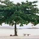 줌시티공인중개사사무소 이미지