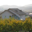 아림농장 이미지