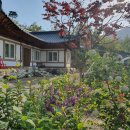 김천한솔펜션 이미지