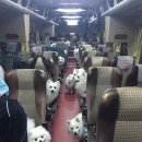 살랑살랑 이미지