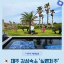 제주마중 판포 | 실외자쿠지 감성 풀빌라 숙소 판포포구 제주 서쪽 숙소로 추천 C동 솔직후기 (쉼과 힐링이 머무르는 곳)