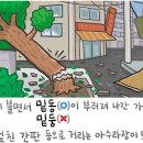 [311] '밑동'과 '밑둥' 이미지