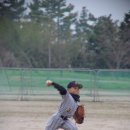 제주남초등학교 이미지