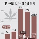 대마기획 이미지