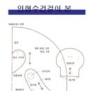 깜찍하고 이쁜 인형 수건걸이 만들기 ( 패턴 . 도안 2 ) 이미지