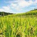 은적자연관광농원 이미지