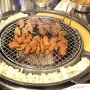 미스터갈매기