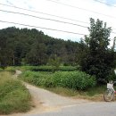 상주 금흔리 이부곡토성 | 상주 금흔리 이부곡 토성 경북 기념물(경북 상주시 사벌면)