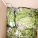 광채농장 이미지