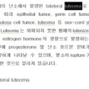 한솔솔파크(아) 이미지