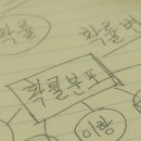 물과물고기 이미지