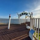 석양을 품은 물고기 이미지