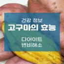 곱게 변(變)하기 연습(練習) 이미지