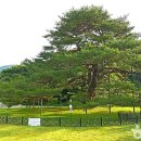 관기시장 이미지