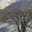 현정농장 이미지