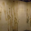 재인약품 이미지