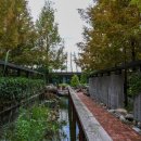 큰지붕닭갈비 | 춘천 큰지붕닭갈비 이제 무조건 여기로 정착 솔직후기