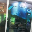 CU동해천곡공원점 | 천곡 황금박쥐동굴 2층 🦇 동해 천곡 황금박쥐동굴 전시관 방문 후기 – 아이와 함께 즐긴 신기한 지하...