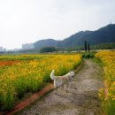 스마트심바이오 이미지