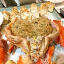 대게나라 이미지