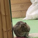 즐거운 뮤직케어링 이미지