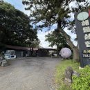 흑돼지해물삼합 | 서귀포올레시장맛집 흑돼지해물삼합 서귀포올레시장점 흑돼지해물삼합 후기