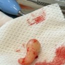 올곧바른치과의원 이미지