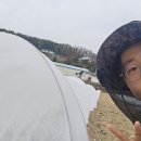 남부농자재 네이버블로그