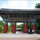 대천통나무리조트 이미지