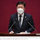 S나비의원