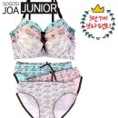 J2004 이미지